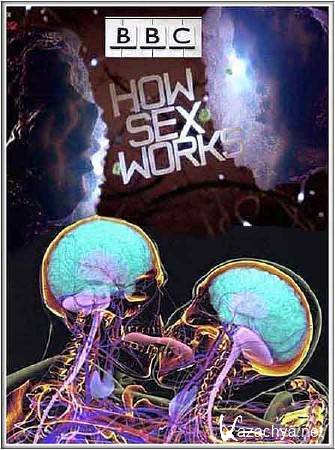 :    (2  3 ) / : How Sex Works (2012) SATRip 