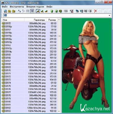 Advanced Viewer 0.70 Build 170 Rus Portable 