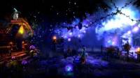 Trine 2.  Trine 2.v 1.19r14281 + 1 DLC (2011|RUS|Repack  Fenixx)