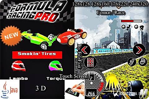 Formula Racing Pro 3D /   