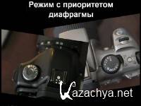 �������� ���������� ���� � �����!� (2008-2011) PCRec, CamRip