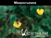 �������� ���������� ���� � �����!� (2008-2011) PCRec, CamRip