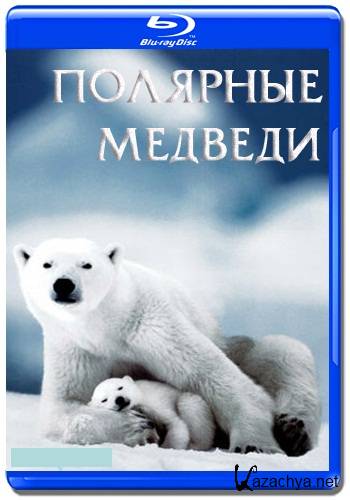   / Polar Bears: A Summer Odyssey (2012) HDRip