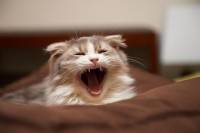 ����� ����� ����� � ��������� �������