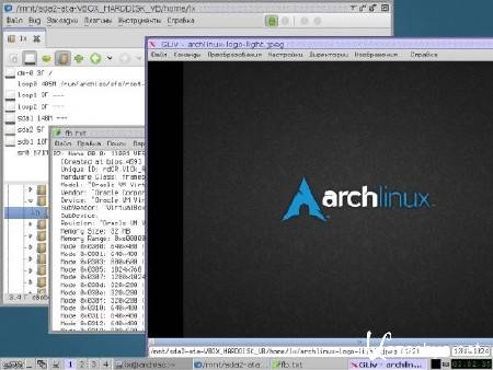 Archiso-2013.01.23 Extended Edition 0.9 (x86, amd64/RUS/ENG)