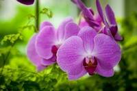 ��������� �������� ������ �� ����� ��� �������� (����� 2)