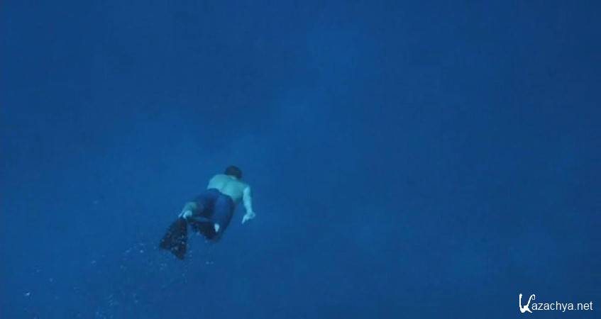 ���������� ���� / Chasing Mavericks (2012) DVDRip-AVC