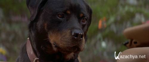 ������ 2: ����� � ������ / Another Stakeout (1993) HDRip + BDRip + BDRip 720p