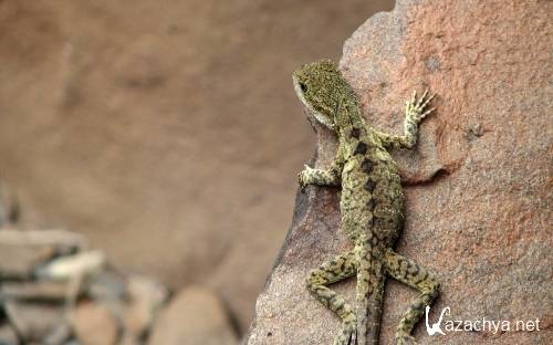   [1680X1050 - 2560X1600] [216.] (2013) JPG