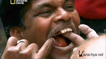 Запреты. Отвратительные работы / Taboo. Nasty Jobs (2012) SATRip Запреты. Отвратительные работы / Taboo. Nasty Jobs (2012) SATRip