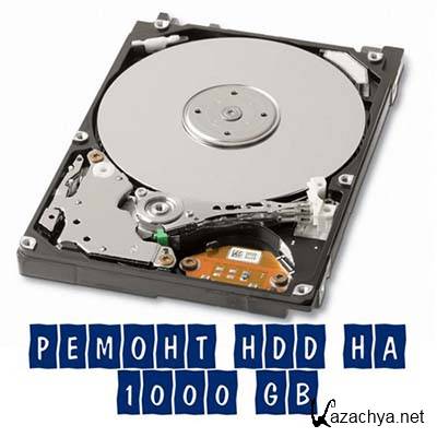  HDD  1000 GB (2012) DVDRip