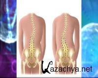 ����� ����� ��� �������� � �������� (2009) DVD5