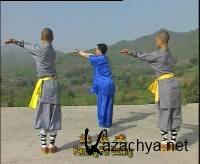   / The Fanzi Boxing (2009) VCDRip
