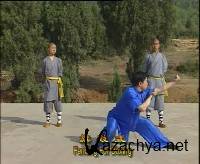   / The Fanzi Boxing (2009) VCDRip