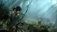 Tomb Raider v.1.0.718.4 (2013/MULTi11/RU) [Steam-Rip (Patch)  R.G Pirats Games] 