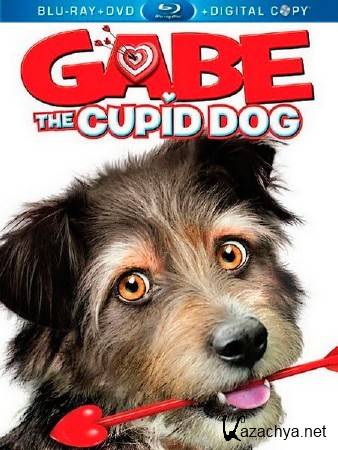 - / Gabe the Cupid Dog (2012/HDRip/700MB/BDRip/720p)