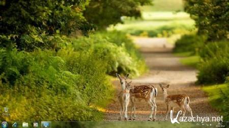 Windows 7 Ultimate SP1 x86/x64 Elgujakviso Edition 03.2013/RUS Windows 7 Ultimate SP1 x86/x64 Elgujakviso Edition 03.2013/RUS