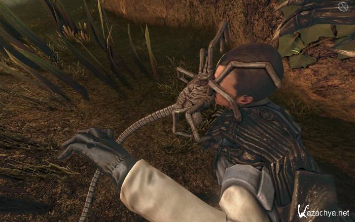 Aliens vs. Predator *UPD* (PC/2010/RUS/ENG/RePack)