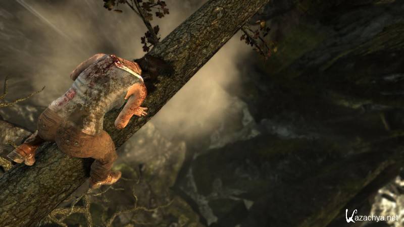 Tomb Raider v 1.01.732.1 + 9 DLC (2013/Rus/Multi13/PC) RePack