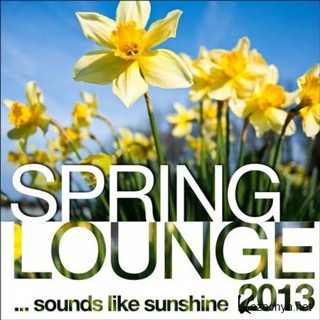 VA - Spring Lounge 2013 Sounds Like Sunshine (2013)