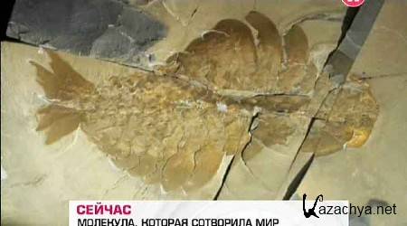 BBC: ��������. ��������, ����������� ��� / Oxygen: The Molecule that Made the World (2011) SATRip 