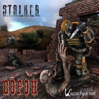 STALKER:  / STALKER: RAVEN (2013/Rus)