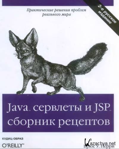 Java   JSP.   (2006) + CDROM