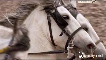 ���������� ����������. �����. �������. �������� / What the Ancients Did for Us. Greeks. Romans. Egyptians (2009) SATRip 