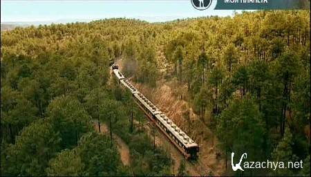 BBC. ������ �����. ��� / Wonders of Life. Home (2012) SATRip 