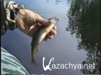 �� �������� �� ������ (2013) SATRip