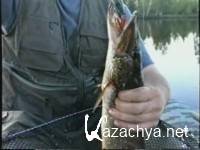 �� �������� �� ������ (2013) SATRip