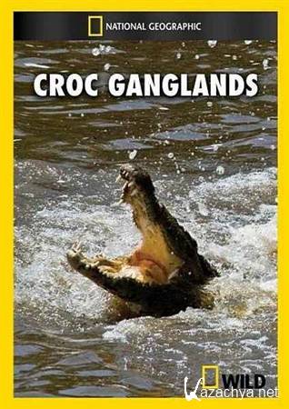   / National Geographic: Croc Ganglands (2010) HDTVRip