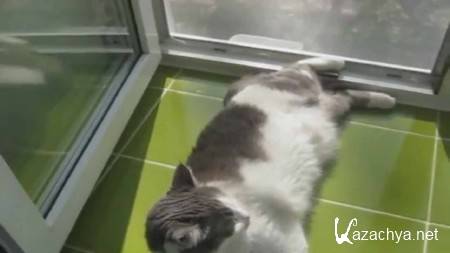 ���������������� ����� ������ ������ (2013) PCRec