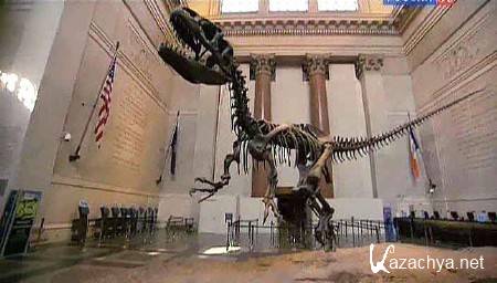 �������� �����. ������������ ����� ������������ ������� / Museum secrets (2012) SATRip 