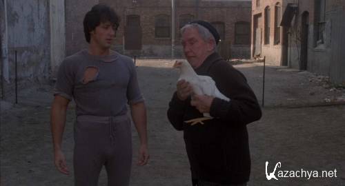  II / Rocky II (1979) HDRip + BDRip-AVC(720p) + BDRip 1080p