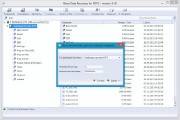 Raise Data Recovery for FAT/NTFS 5.10 (2013)