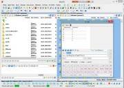 ViewFD 3.4.5.0 + Portable (2013) ViewFD 3.4.5.0 + Portable (2013)