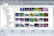 AnvSoft Photo Slideshow Maker Platinum 5.57 RePack by AlekseyPopovv (2013/Ru/En)