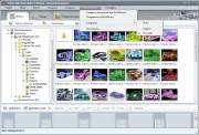 AnvSoft Photo Slideshow Maker Platinum 5.57 RePack by AlekseyPopovv (2013/Ru/En)