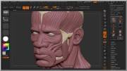 ZBrush 4R6 (2013)