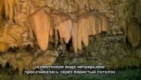   :      / Adventure Bahamas - mysterious caves & wrecks (2012) DVDRip