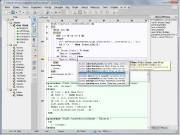 SynWrite Editor 5.7.680 (2013)