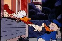  :   / Treasures of animation: Donald Duck. 6   6. (1929-1949) DVDRip-iPod