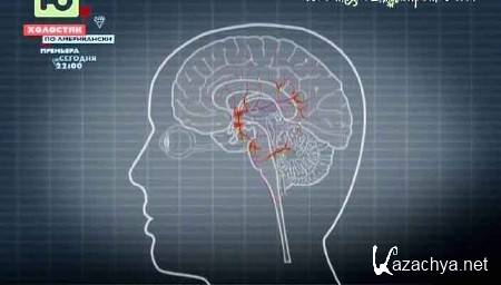 BBC: ���� ����. 10 �������� ��� / Your body. 10 secrets of sleep (2011) SATRip 