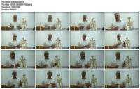 ����� ����? (2013)