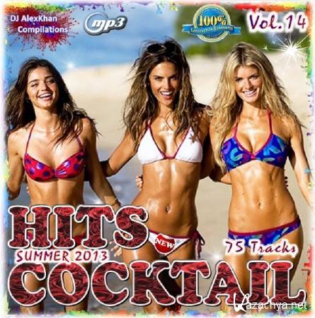  Hit cocktail - Vol. 14 (2013)