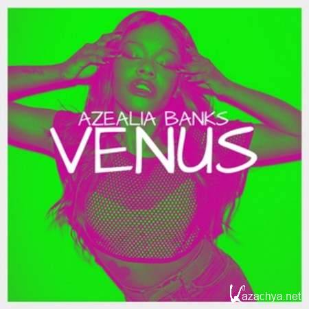 Paul Oakenfold feat Azealia Banks - Venus (DJ Bl3nd Remix) [2013, MP3]