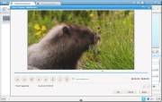 Any Video Converter Professional 5.0.8 RePack (& portable) by KpoJIuK (2013)