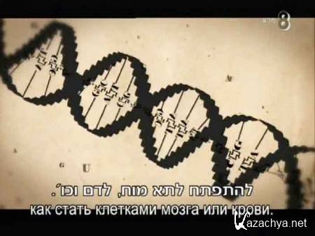BBC:   / BBC: The Gene Code (2012) SATRip 