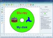 RonyaSoft CD DVD Label Maker 3.01.18.02 (2013)
